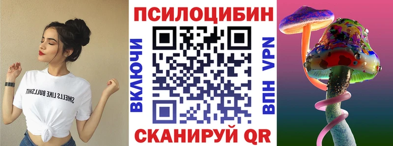 закладки  Городец  Псилоцибиновые грибы мицелий 